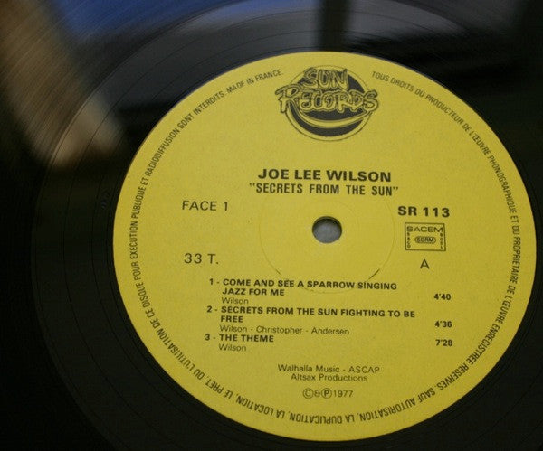 Joe Lee Wilson : Secrets From The Sun (LP, Album)