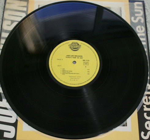 Joe Lee Wilson : Secrets From The Sun (LP, Album)