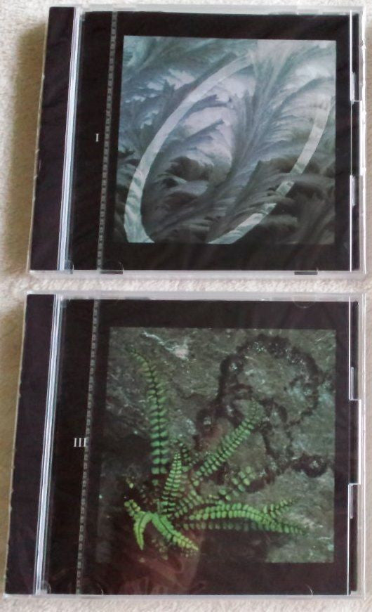 Led Zeppelin : Led Zeppelin 1968-1980 (4xCD, Comp, RM + Box)