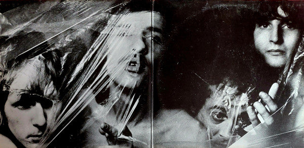 The Nice : 1967-69 (2xLP, Comp)