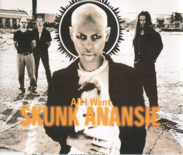 Skunk Anansie : All I Want (CD, Maxi)