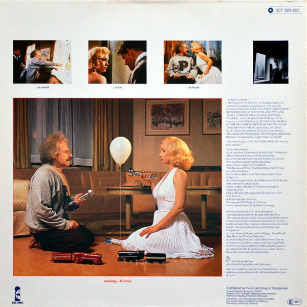 Various : Shape Of The Universe: A Souvenir Of Insignificance (LP, Album)