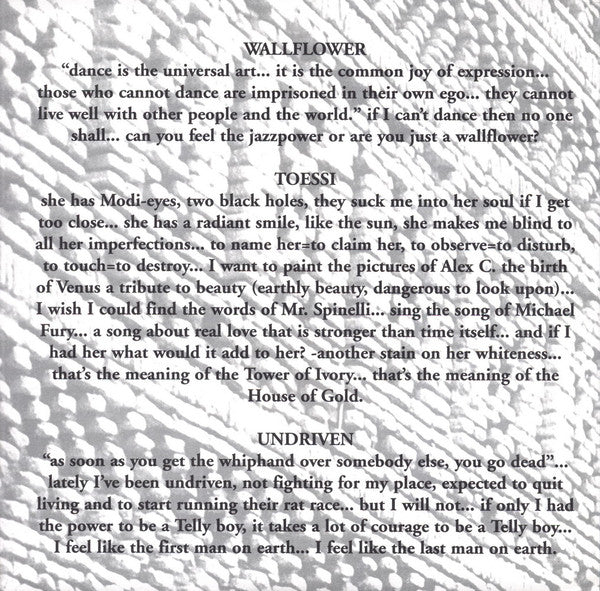 Silence Means Consent : Observe Disturb (7", EP)