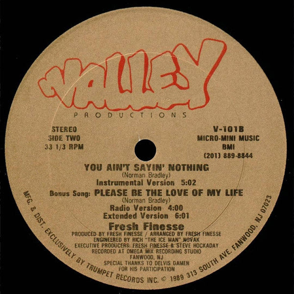Fresh Finesse : You Ain't Sayin' Nothing (12")