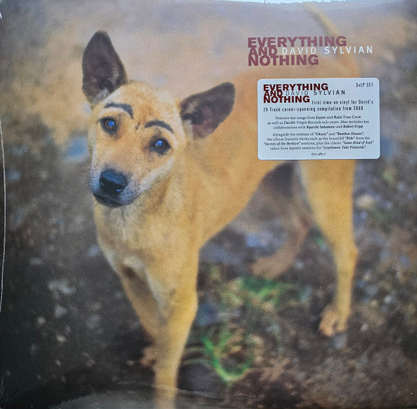 David Sylvian : Everything And Nothing (3xLP, Comp)