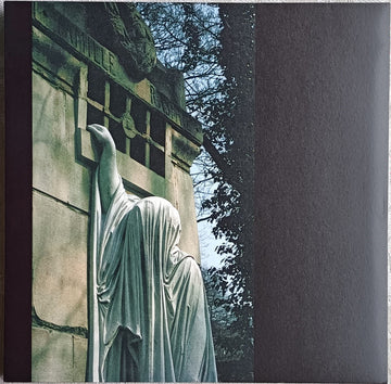 Dead Can Dance : Within The Realm Of A Dying Sun (LP, Album, RE, RM, RP)