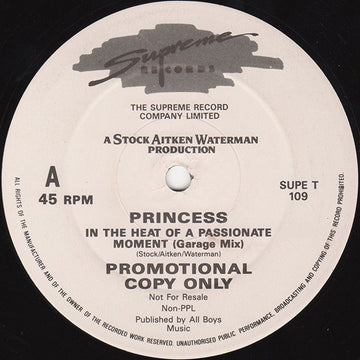 Princess : In The Heat Of A Passionate Moment (12", Promo)