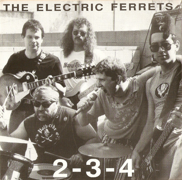 The Electric Ferrets : 2-3-4 (7", Gra)