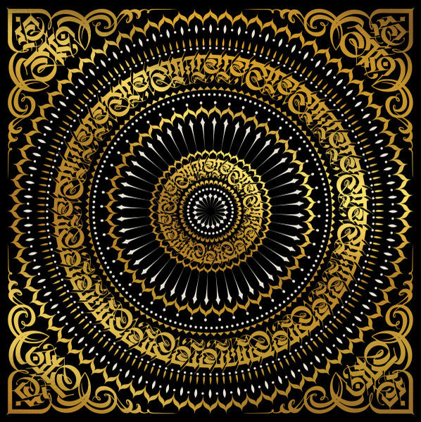 The Gaslamp Killer & Jason Wool : ANANDA (LP, Ltd)