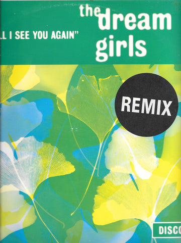 The Dream Girls : When Will I See You Again (Remix) (12")