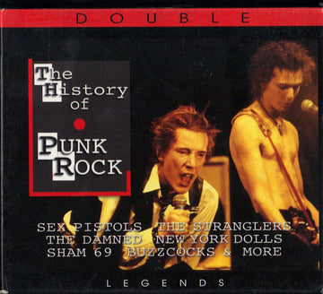 Various : The History Of Punk Rock (2xCD, Comp)