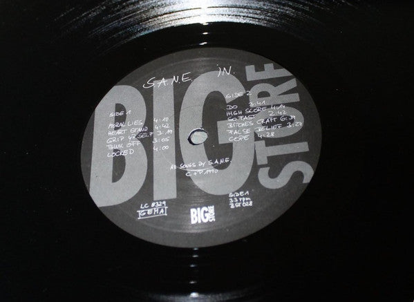 S.A.N.E. : In. (LP, Album)