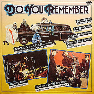 Various : Do You Remember (2xLP, Comp)