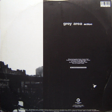 Grey Area (2) : Action (12")