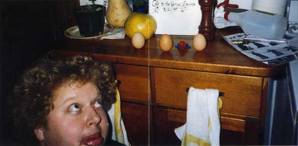 Ham Steak : Ham On The Run (CD, Album)