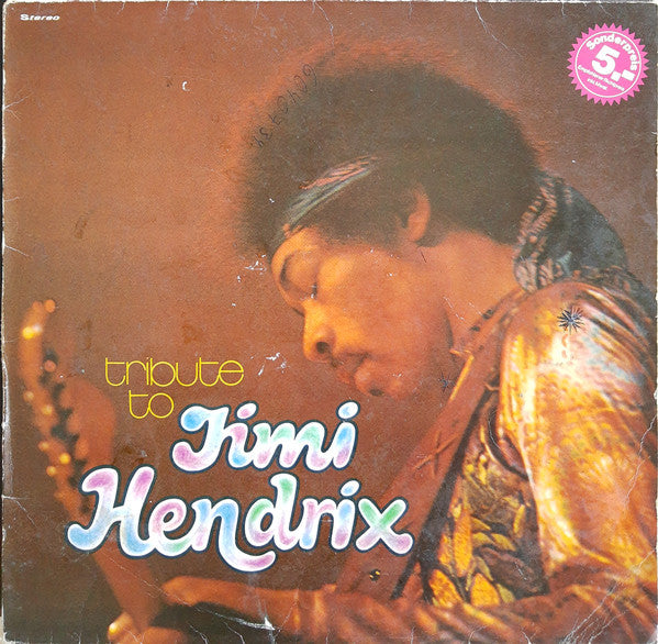 The Live Experience Band : Tribute To Jimi Hendrix (LP, Album)