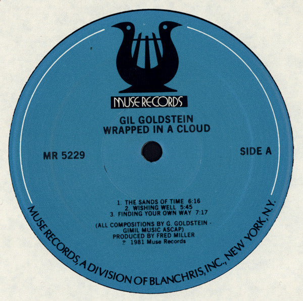 Gil Goldstein : Wrapped In A Cloud (LP, Album)