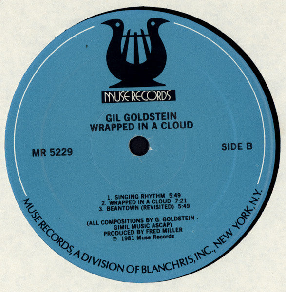 Gil Goldstein : Wrapped In A Cloud (LP, Album)