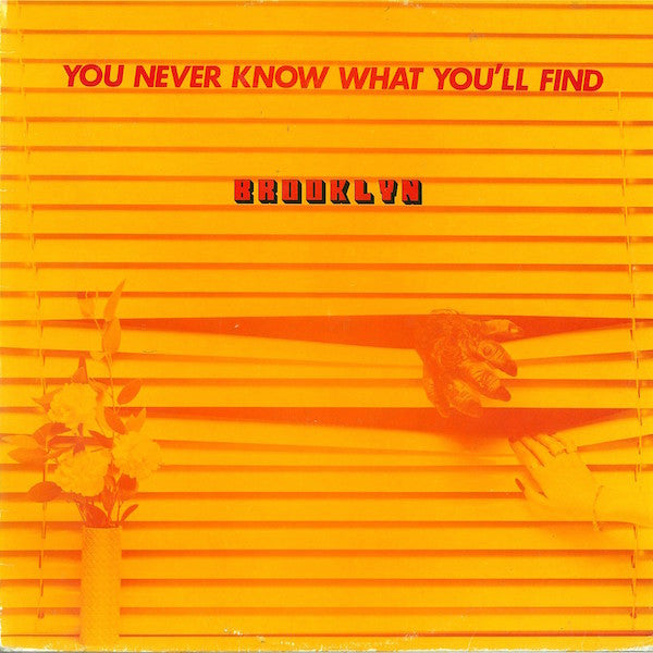 Brooklyn (15) : You Never Know What You'll Find (LP, Album)