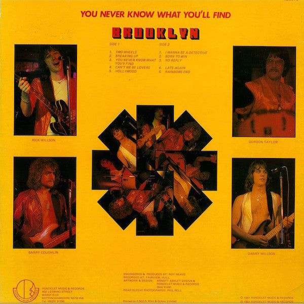 Brooklyn (15) : You Never Know What You'll Find (LP, Album)