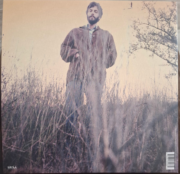 Ray Lamontagne : Trouble (LP, Album, RE, RM, 180)