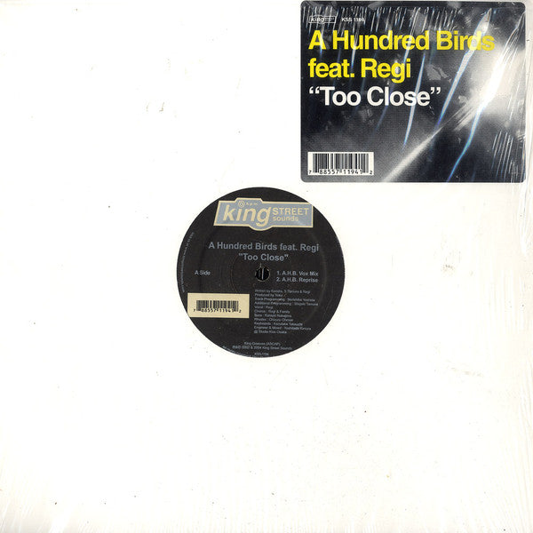 A Hundred Birds Featuring Regi (2) : Too Close (12")