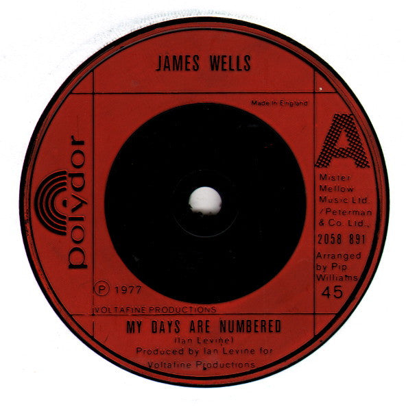 James Wells : My Days Are Numbered (7", Single)