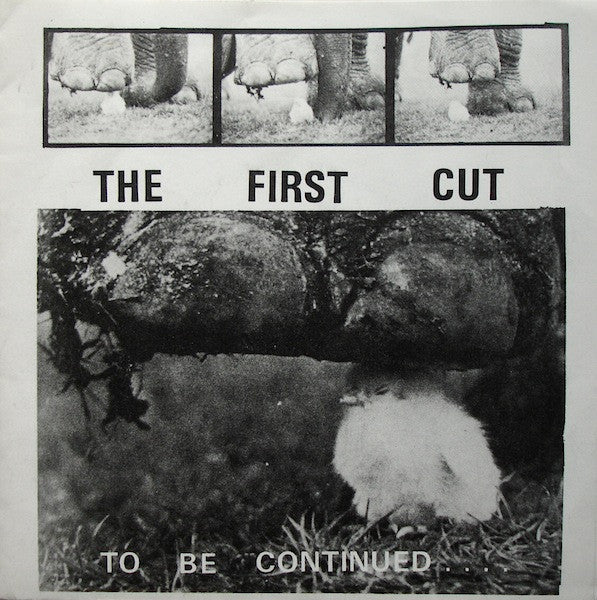 To Be Continued (6) : The First Cut (7")