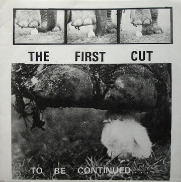 To Be Continued (6) : The First Cut (7")
