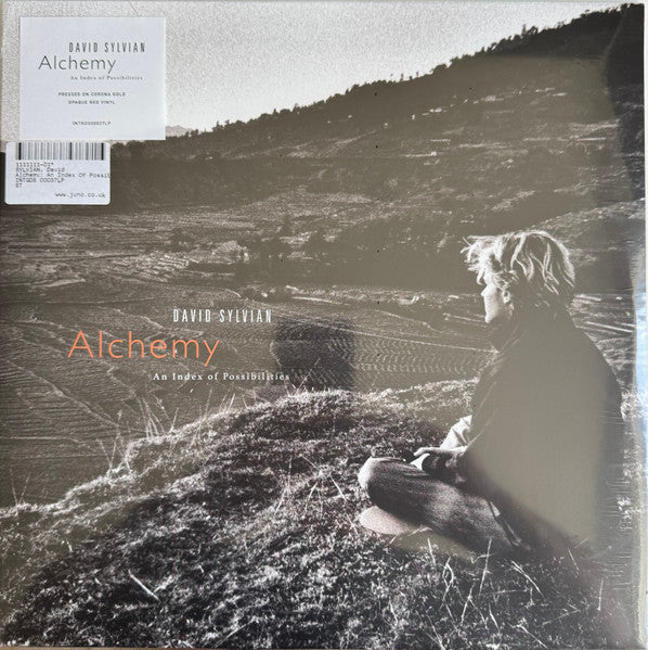 David Sylvian : Alchemy An Index Of Possibilities (LP, Album, RE, RM, Cor)