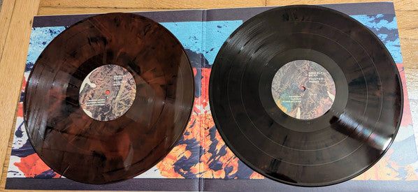 Grizzly Bear : Painted Ruins (LP, Ltd, Oxb)