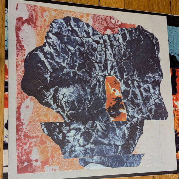 Grizzly Bear : Painted Ruins (LP, Ltd, Oxb)