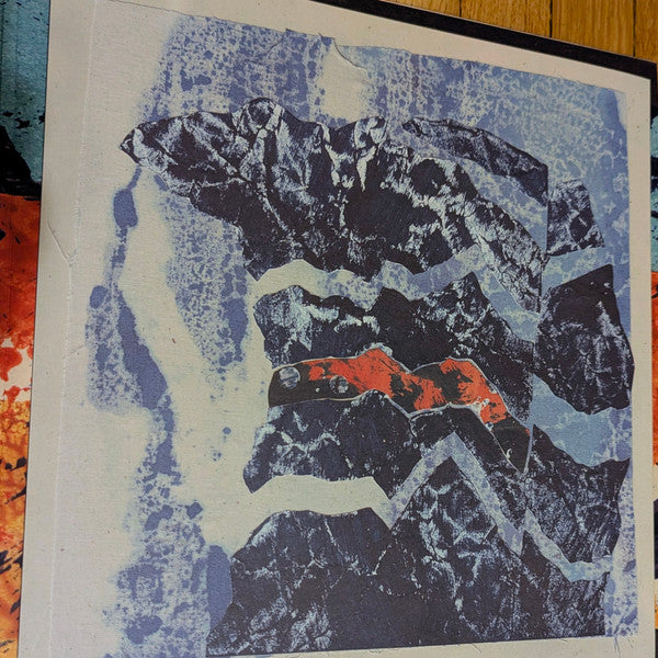 Grizzly Bear : Painted Ruins (LP, Ltd, Oxb)