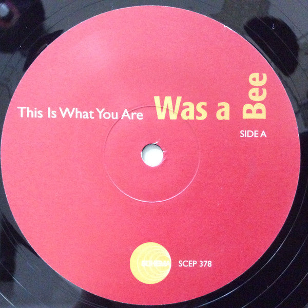 Was A Bee : This Is What You Are / On A Clear Day (12", Single)