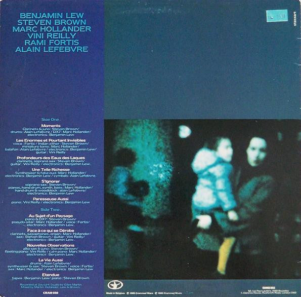 Benjamin Lew / Steven Brown : A Propos D'Un Paysage (LP, Album)
