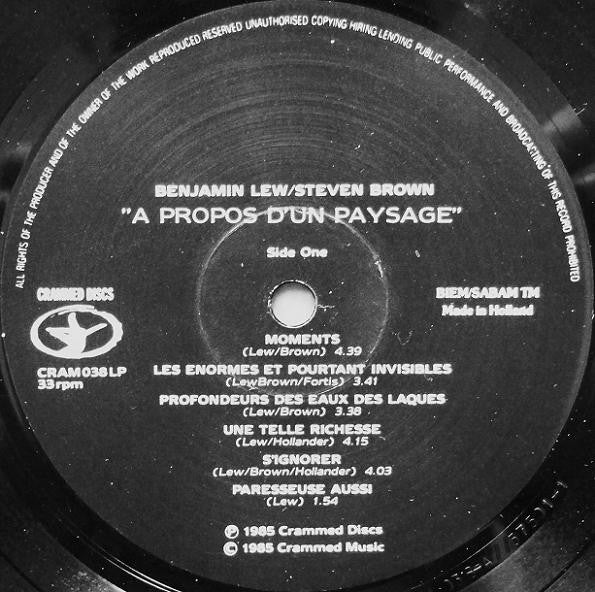 Benjamin Lew / Steven Brown : A Propos D'Un Paysage (LP, Album)