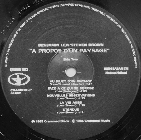 Benjamin Lew / Steven Brown : A Propos D'Un Paysage (LP, Album)