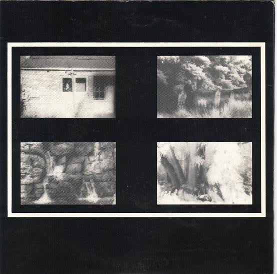 Die Dancing Bears : Drug Dance (7", Single)