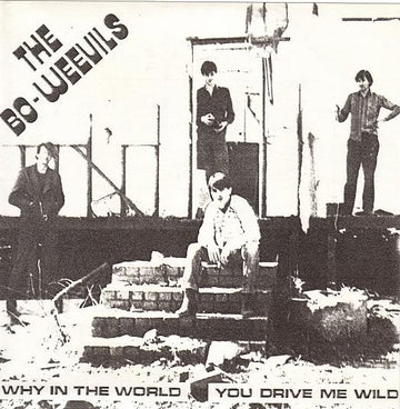 The Bo-Weevils : Why In The World / You Drive Me Wild (Flexi, 7", S/Sided, Single, Gre)