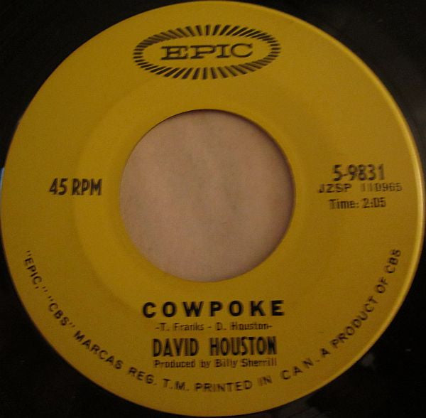 David Houston : Cowpoke / Livin' In A House Full Of Love (7", Single)