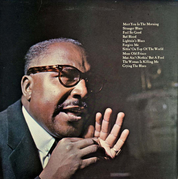 Sonny Terry & Brownie McGhee : Hometown Blues (LP, Album, RE)