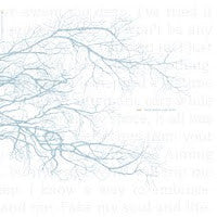 Oak (4) : Sleep Dream Walk Enter (LP, whi)