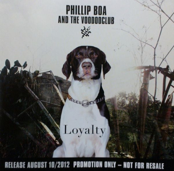 Phillip Boa And The Voodooclub* : Loyalty (CD, Album, Promo)