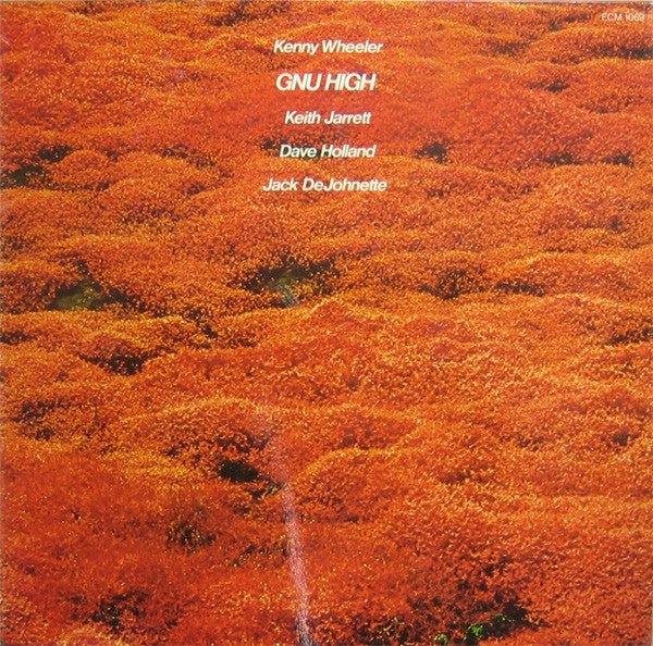 Kenny Wheeler : Gnu High (LP, Album, Ter)