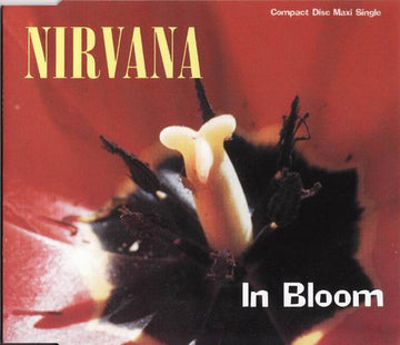 Nirvana : In Bloom (CD, Maxi, RE)