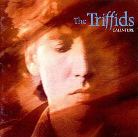 The Triffids : Calenture (LP, Album)