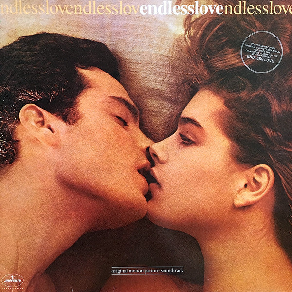Various : Endless Love (LP, Comp, Gat)