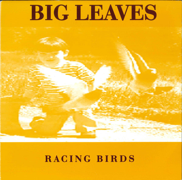 Big Leaves : Racing Birds (7", Single)