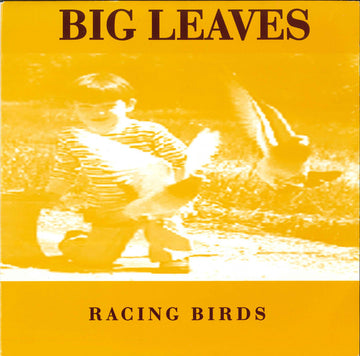 Big Leaves : Racing Birds (7", Single)