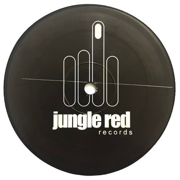 Erin Hamilton : I Got The Music In Me (12")